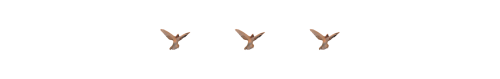 Spacer3